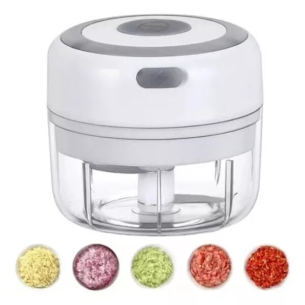 1724519575Frente - 2024-08-16T131812.106 Mini Picadora De Ajo Procesadora