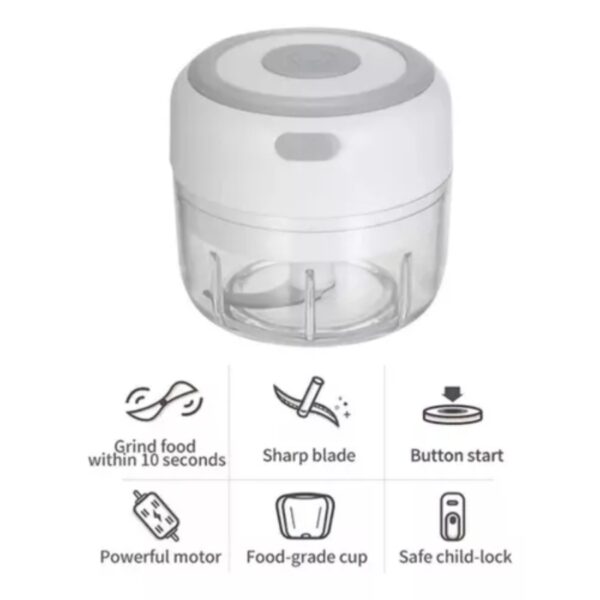 1724519575Frente - 2024-08-16T132011.171 Mini Picadora De Ajo Procesadora